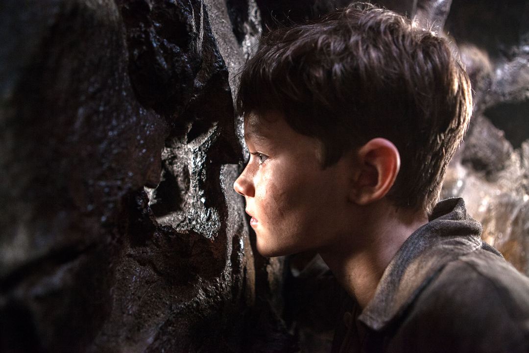 Pan : Photo Levi Miller (II)