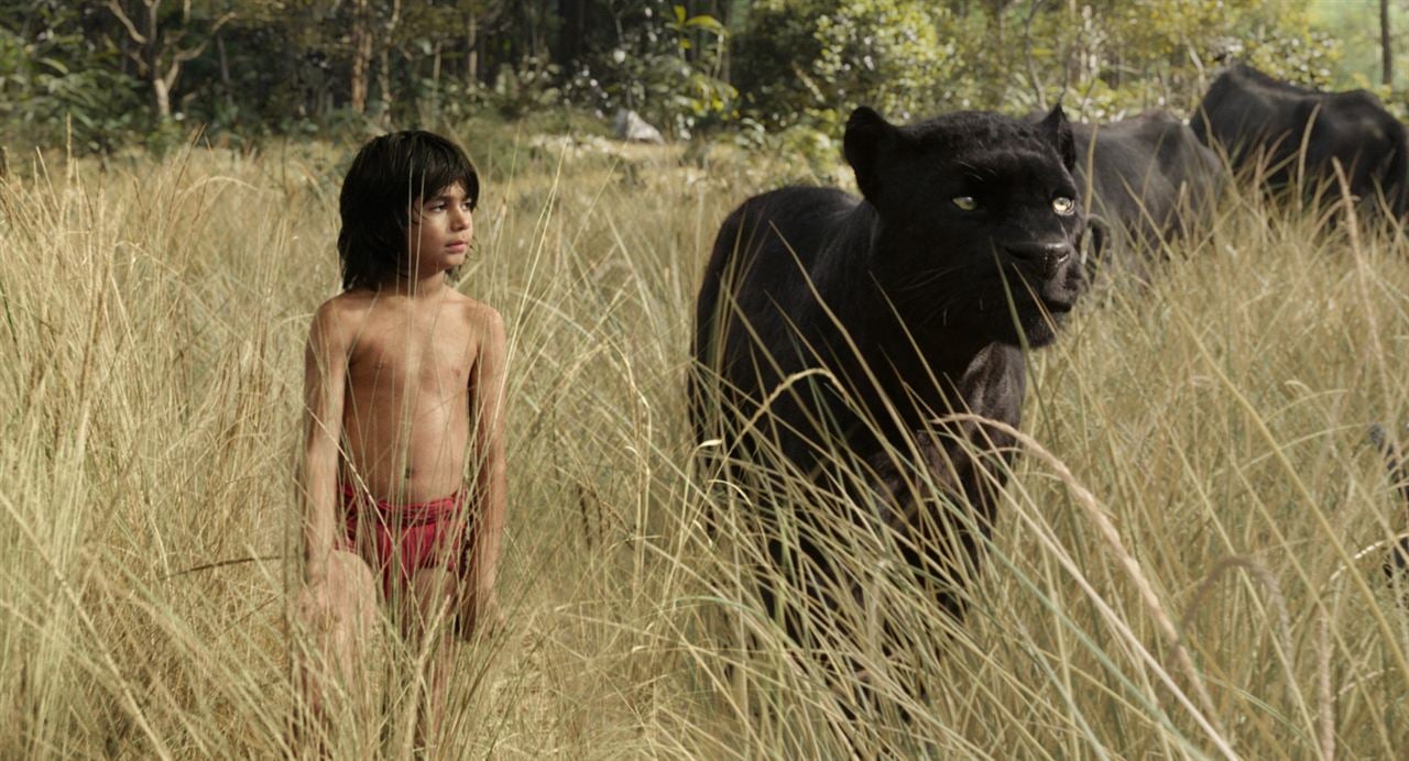 Le Livre de la jungle : Photo Neel Sethi