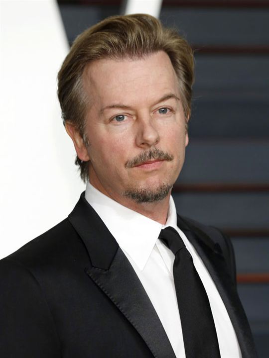 Affiche David Spade