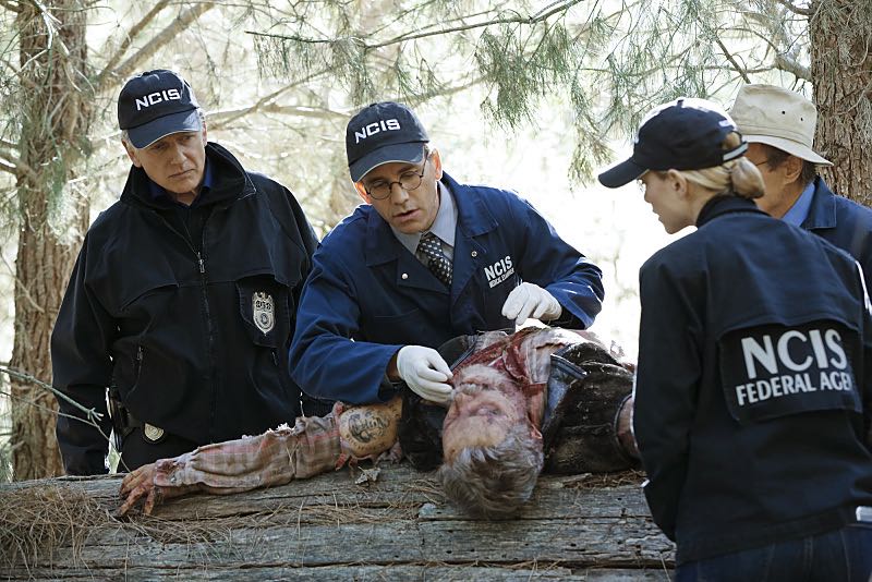 NCIS : Enquêtes spéciales : Photo Mark Harmon, Brian Dietzen