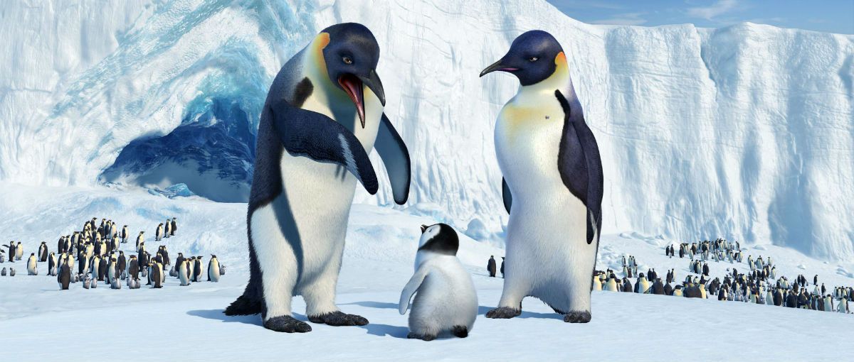 Happy Feet : Photo