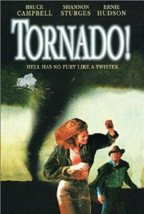 Chasseurs de tornades : Affiche