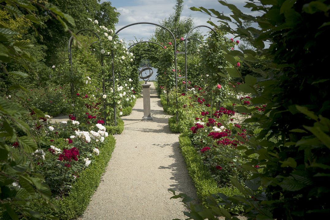 Peindre le jardin moderne : de Monet à Matisse : Photo