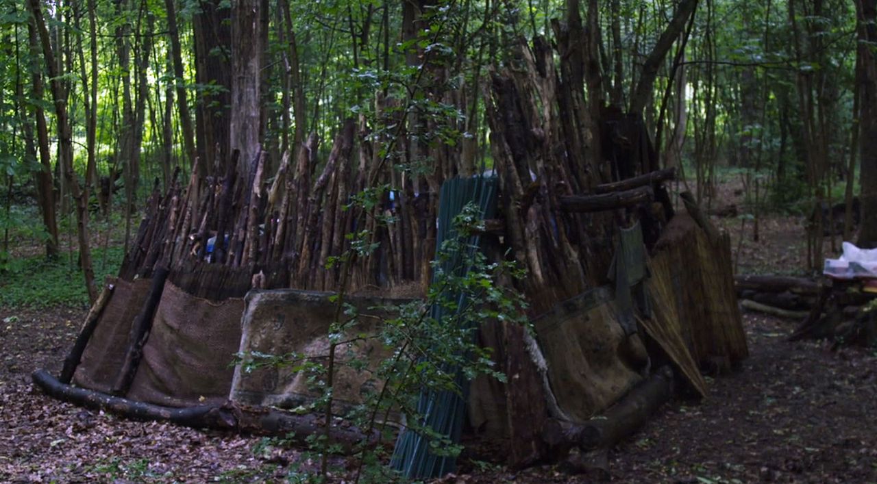 Le Bois dont les rêves sont faits : Photo