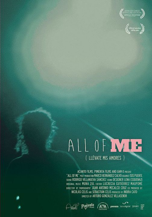 Llévate mis amores : Affiche