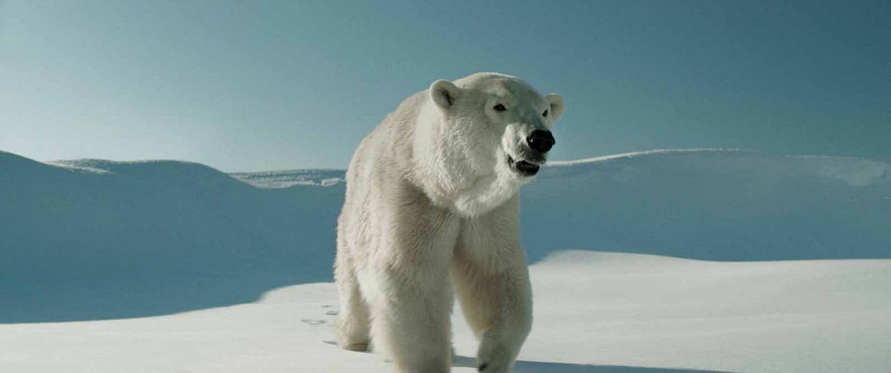 Two Lovers and a Bear : Photo