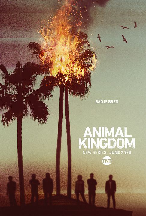 Animal Kingdom : Affiche