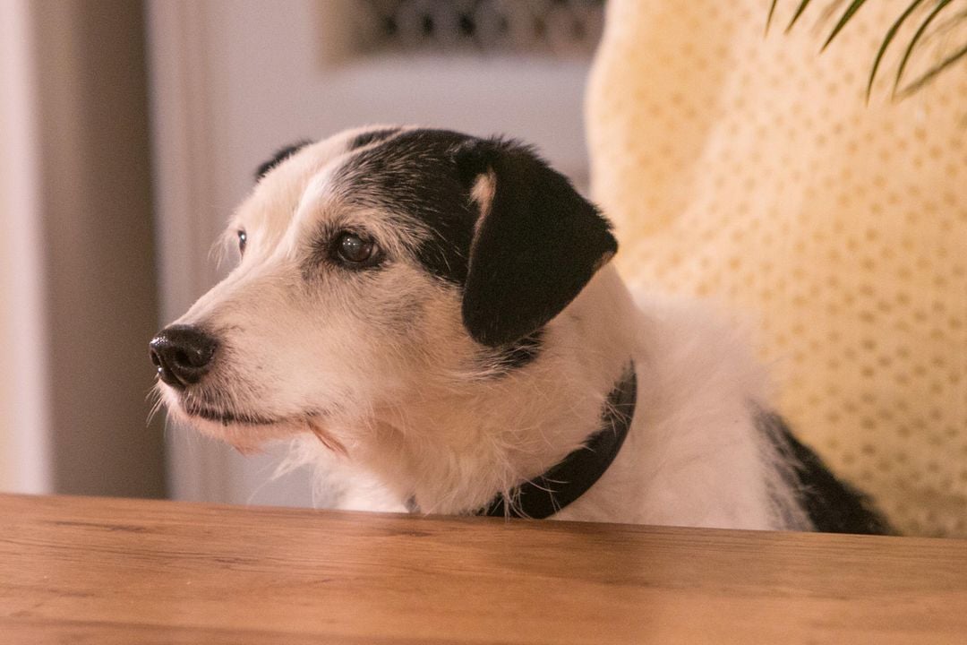 Inspecteur Barnaby Inspecteur Barnaby Photo 148 sur 196 AlloCiné