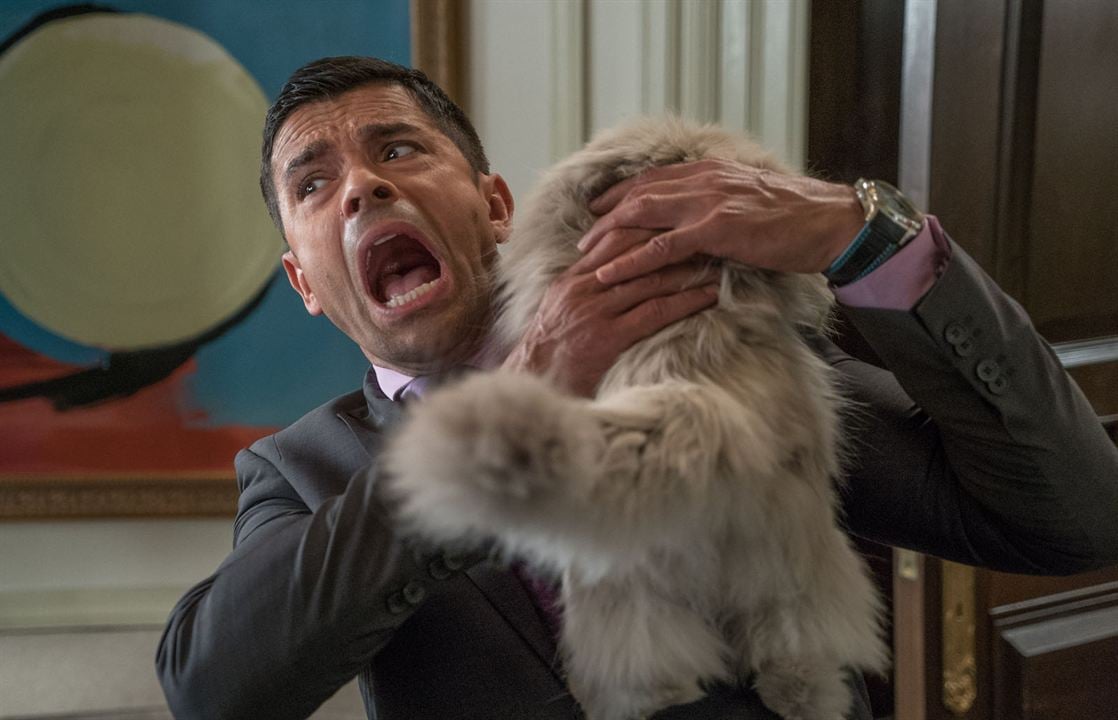 Ma vie de chat : Photo Mark Consuelos