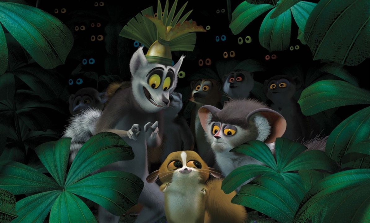 Madagascar : Photo