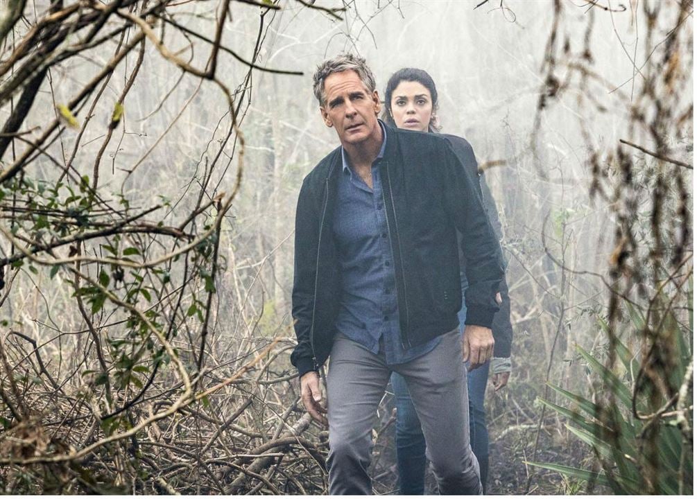 NCIS : Nouvelle-Orléans : Photo Vanessa Ferlito, Scott Bakula