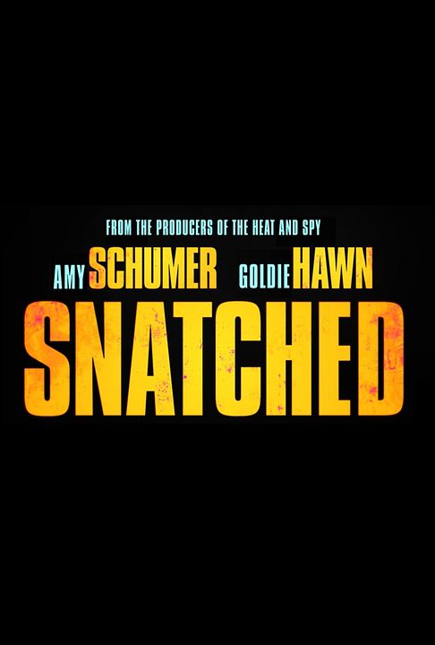 Snatched : Affiche