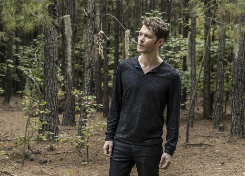 The Originals : Photo Joseph Morgan