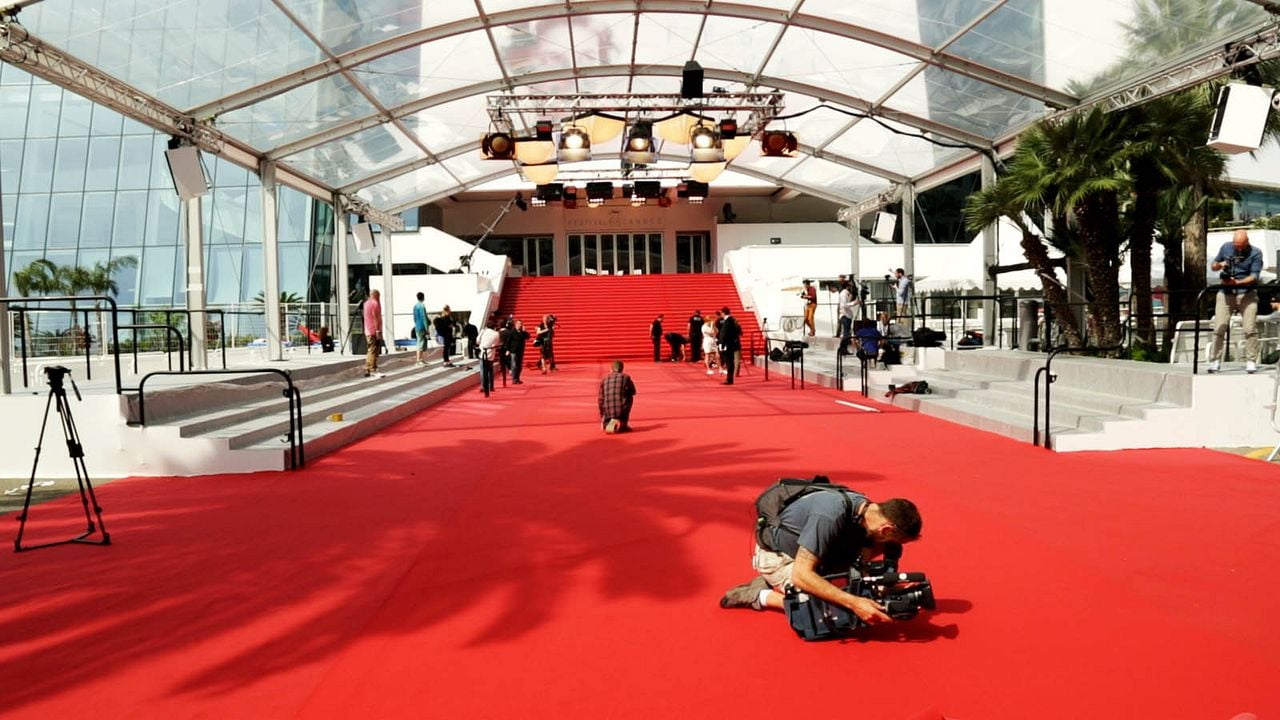 Le Goût du tapis rouge : Photo