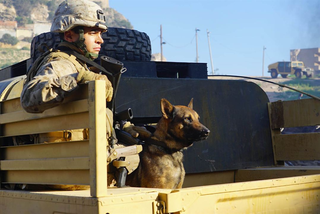 Megan Leavey : Photo Ramon Rodríguez