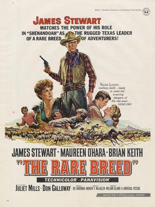 Rancho Bravo : Affiche