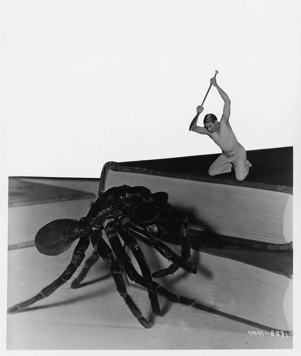 L'Homme qui rétrécit : Photo Grant Williams