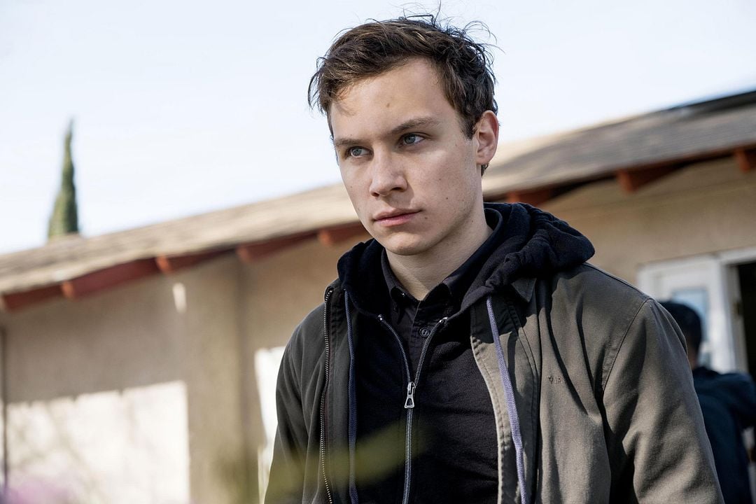 Animal Kingdom : Photo Finn Cole