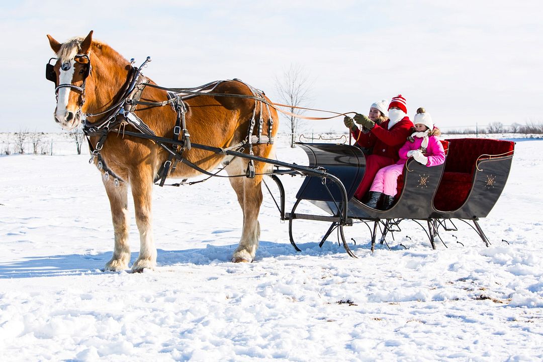 Cher Père Noël... : Photo