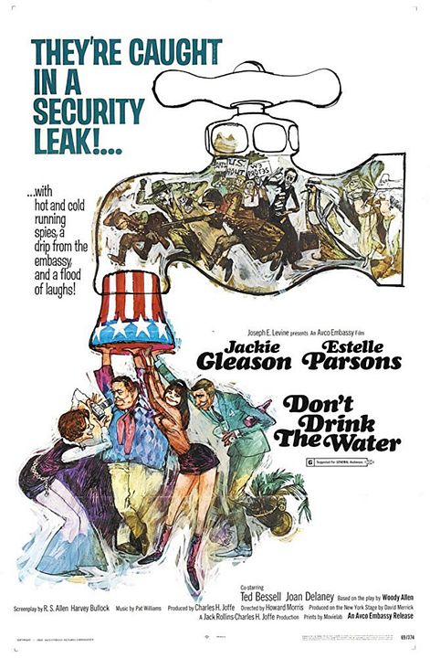 Don't drink the water : Affiche