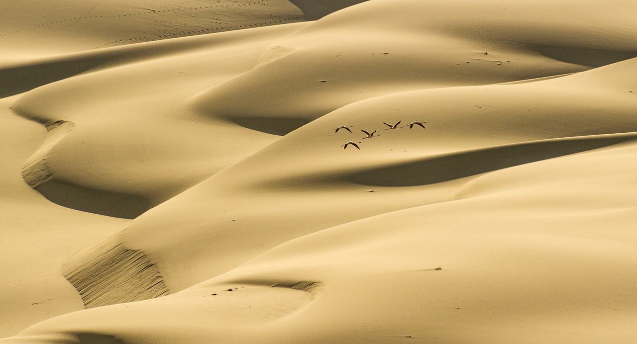 Un nouveau jour sur Terre : Photo