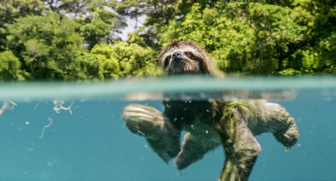 Un nouveau jour sur Terre : Photo