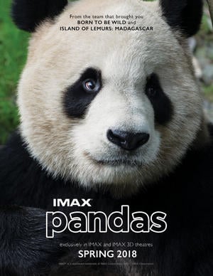 Pandas : Affiche