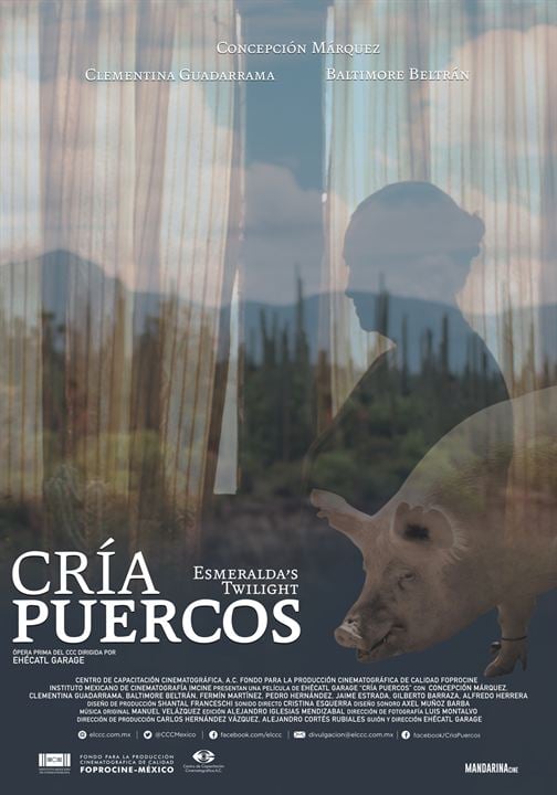 Cría puercos : Affiche