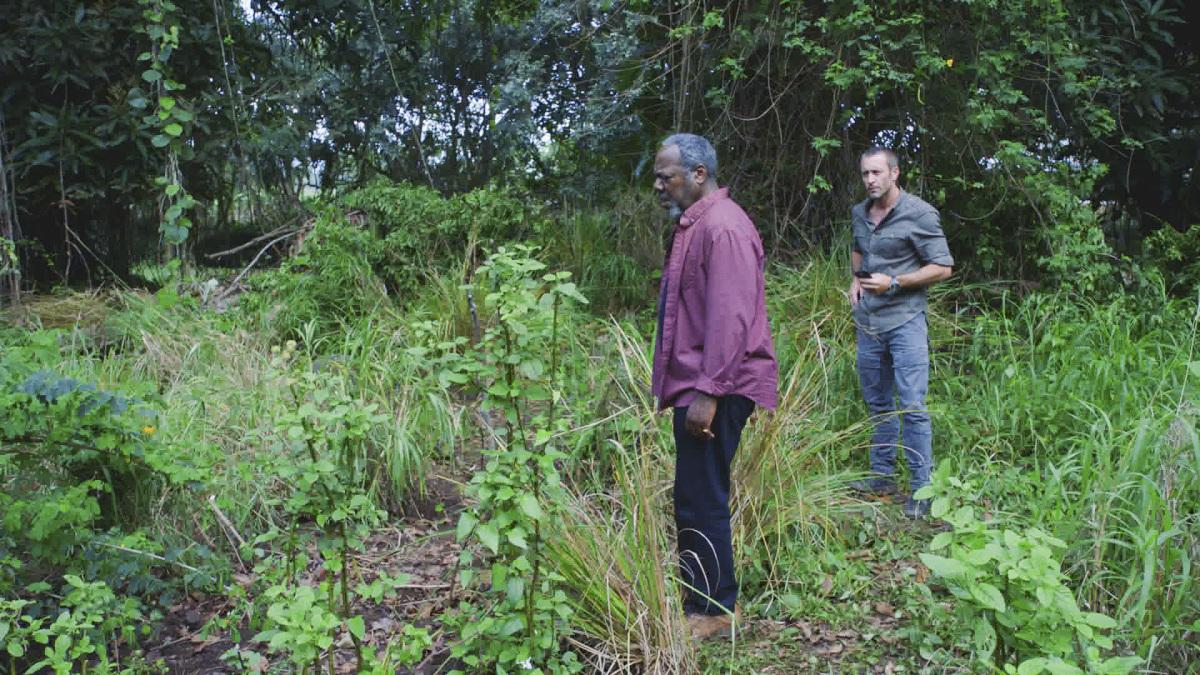 Hawaii Five-0 (2010) : Photo Alex O´Loughlin, Frankie Faison, Alex O'Loughlin