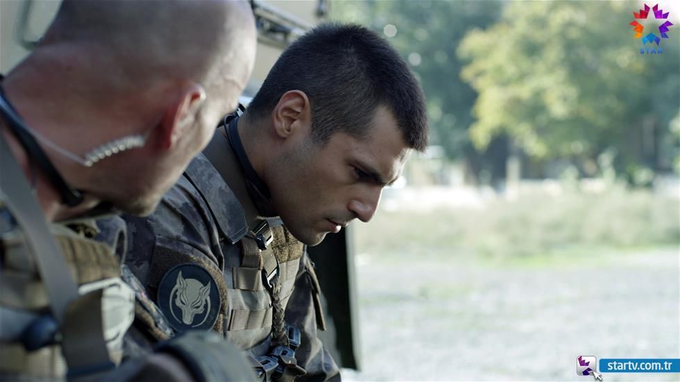 Börü : Photo
