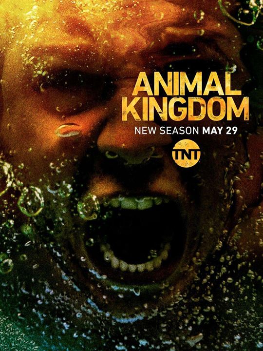 Animal Kingdom : Affiche