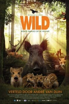 Wild : Affiche