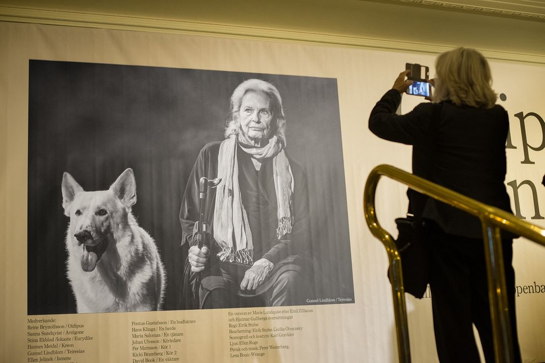 À la recherche d'Ingmar Bergman : Photo