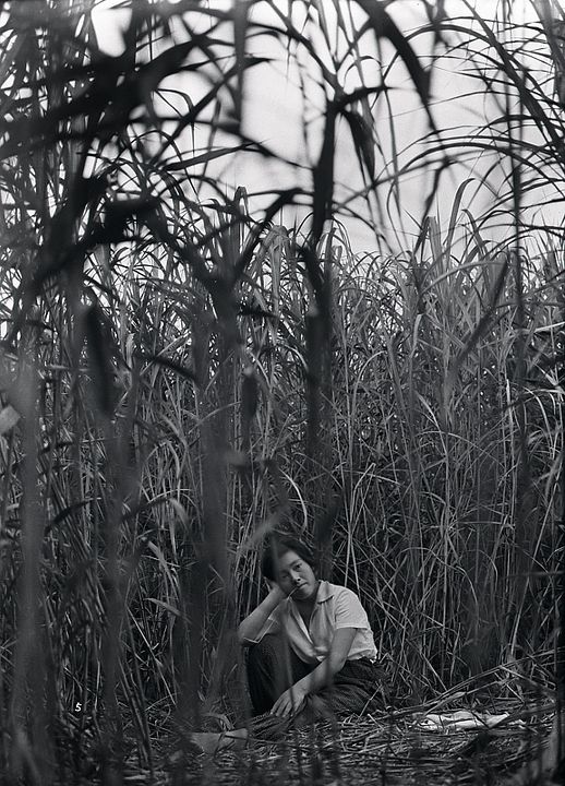 La Femme insecte : Photo