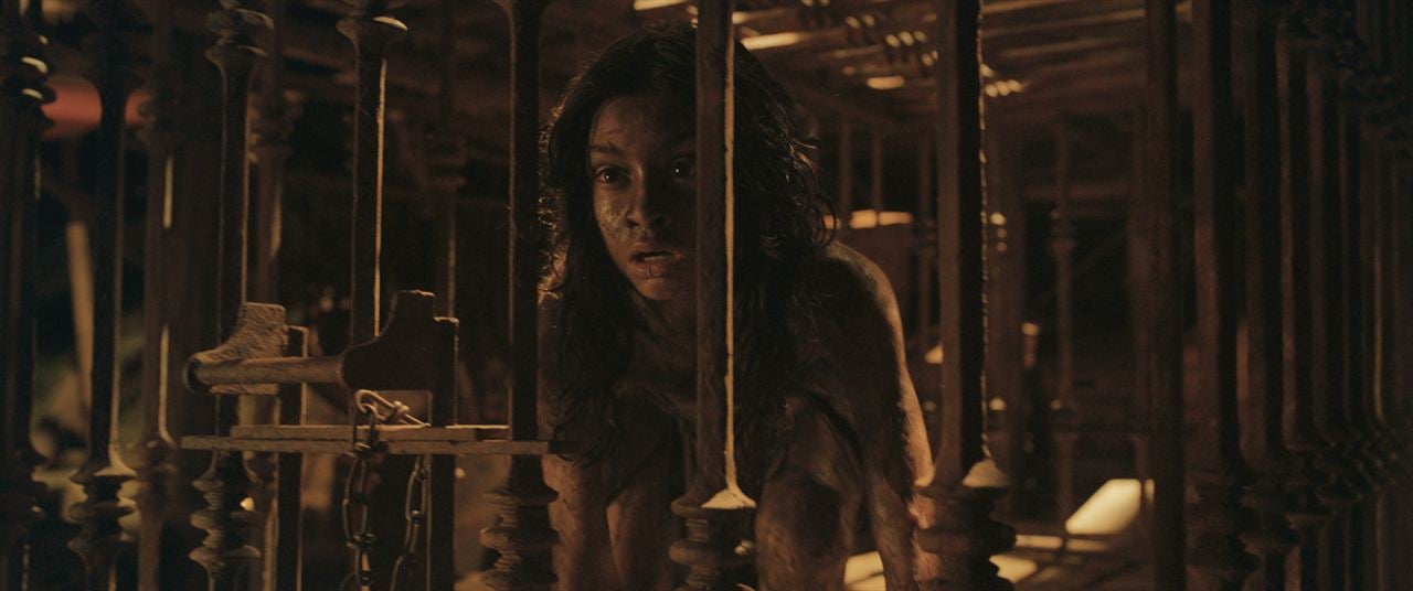 Mowgli : la légende de la jungle : Photo Rohan Chand (II)
