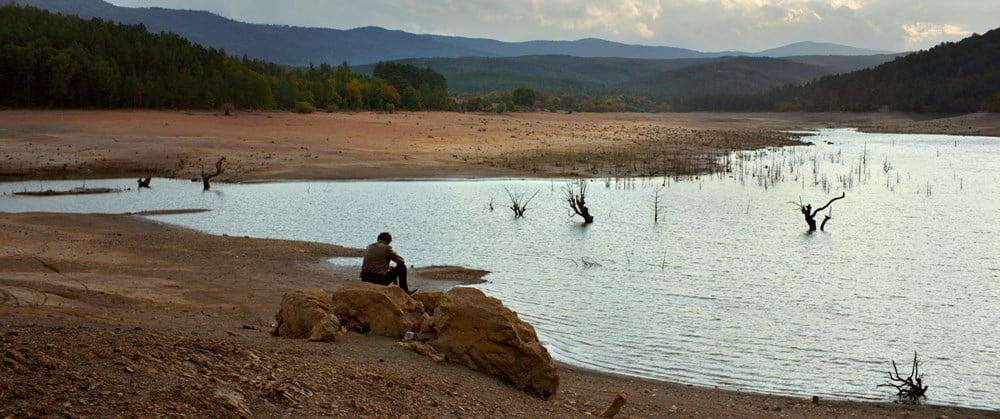 Le Poirier sauvage : Photo