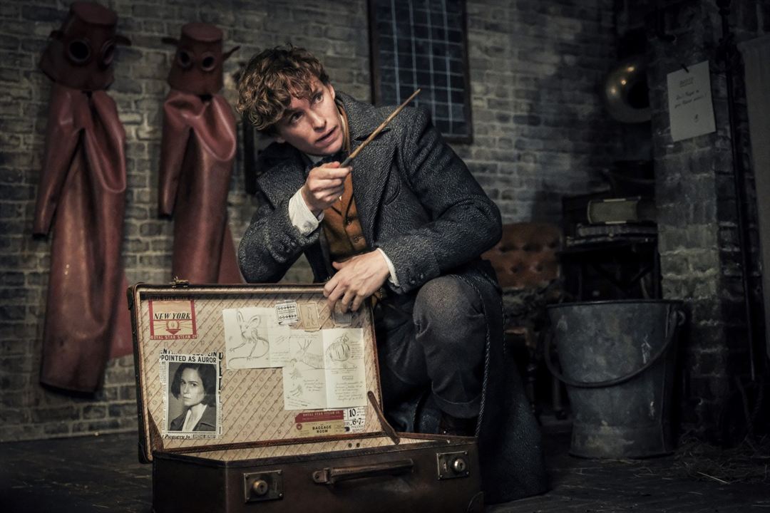 Les Animaux fantastiques : Les crimes de Grindelwald : Photo Eddie Redmayne