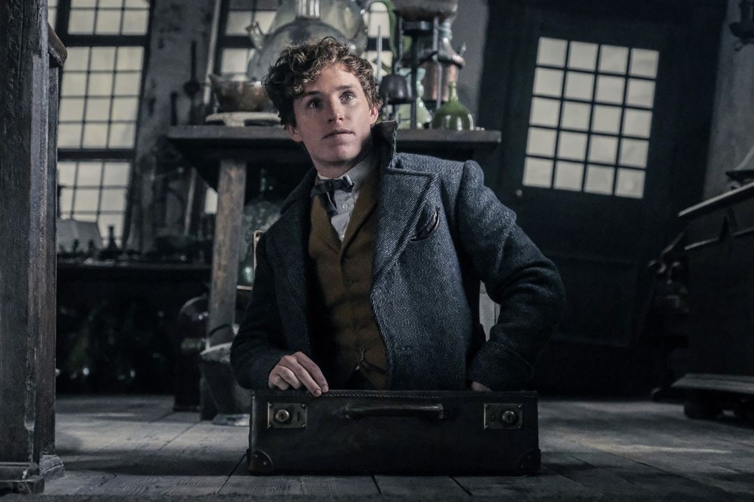 Les Animaux fantastiques : Les crimes de Grindelwald : Photo Eddie Redmayne