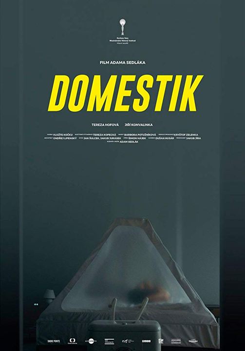 Domestique : Affiche