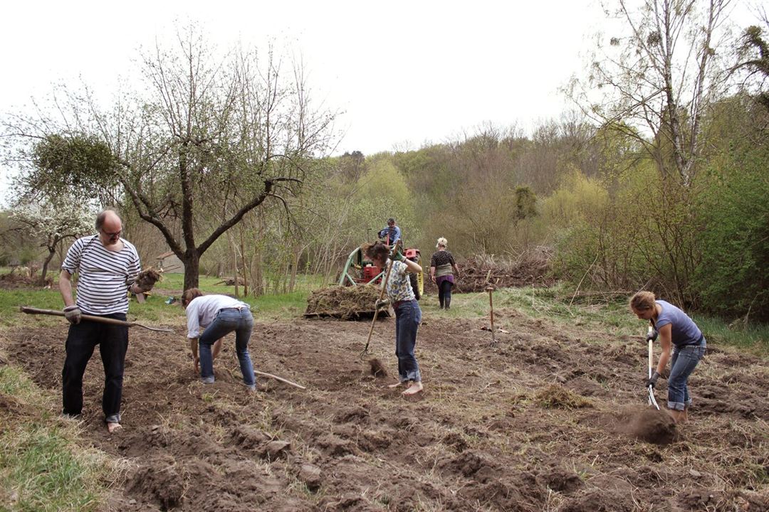 Au pays des bobos : Photo