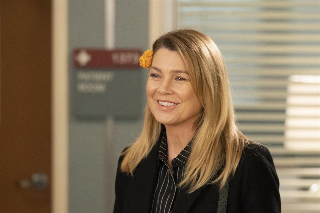 Grey's Anatomy : Photo Ellen Pompeo