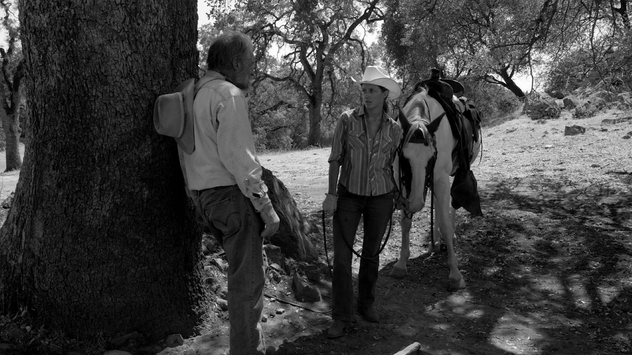 The Divide : Photo Sara Arrington