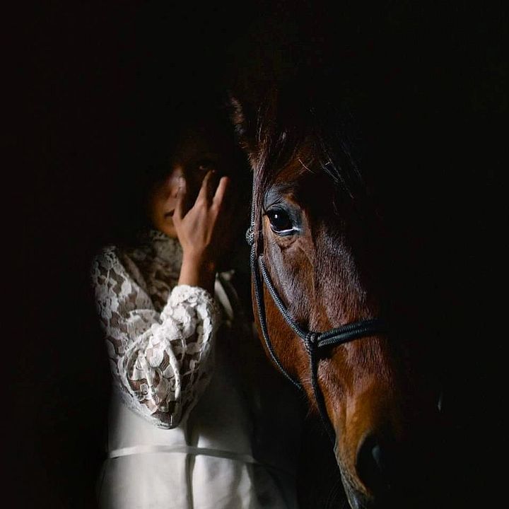 Flatland – Trois horizons : Photo