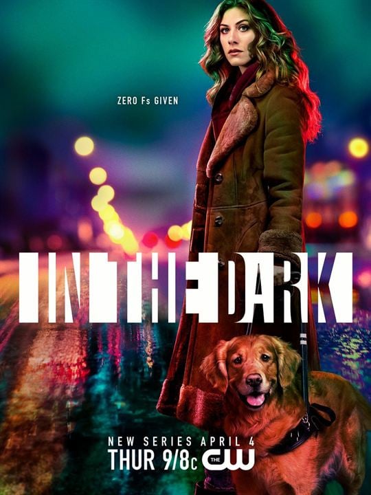 In the Dark (2019) : Affiche