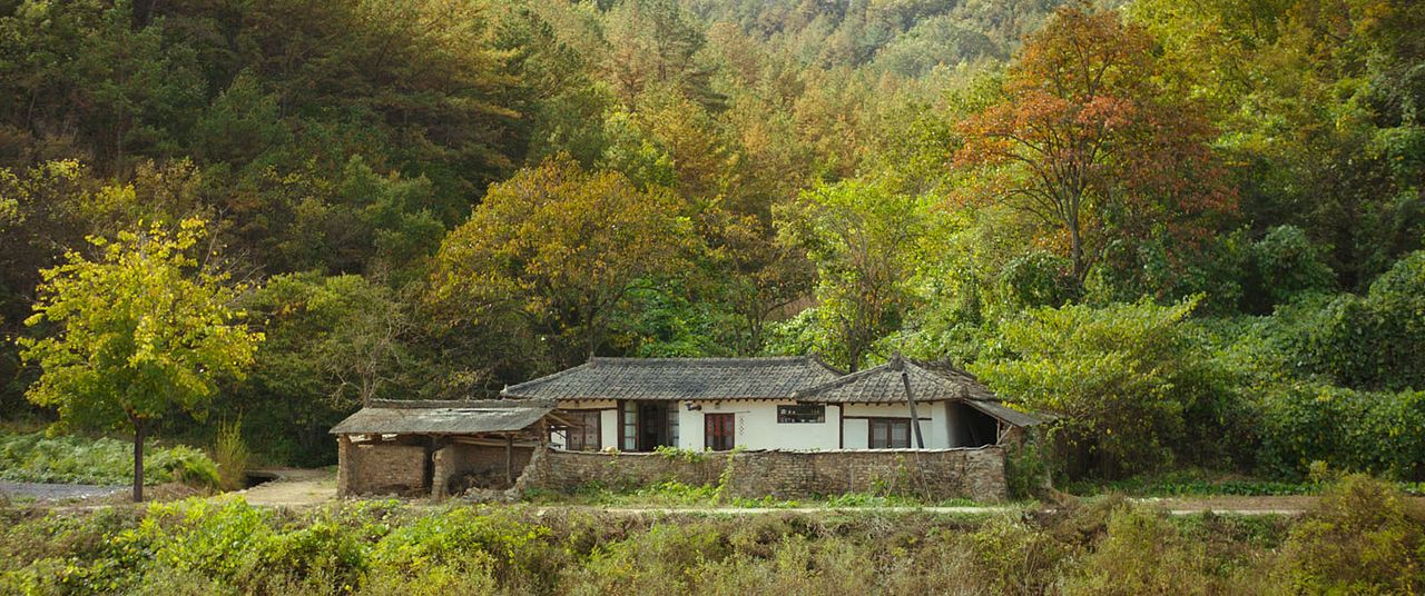 Petite forêt : Photo