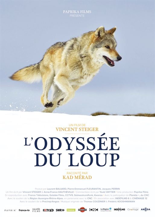 L'Odyssée du loup : Affiche