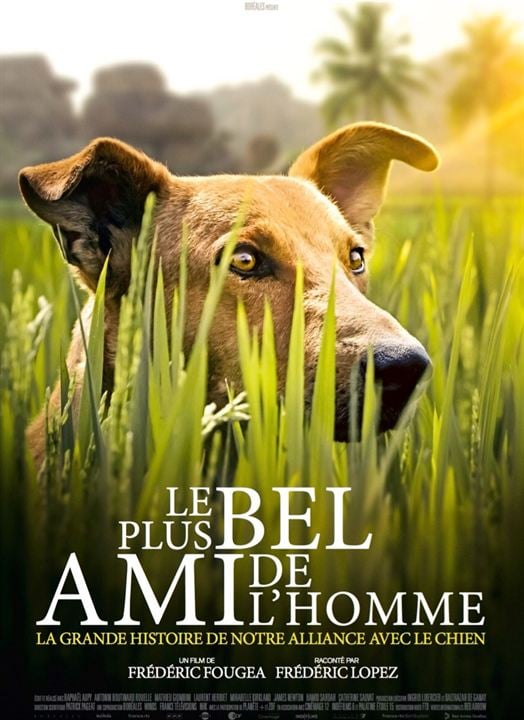 Le Plus bel ami de l'homme : Affiche