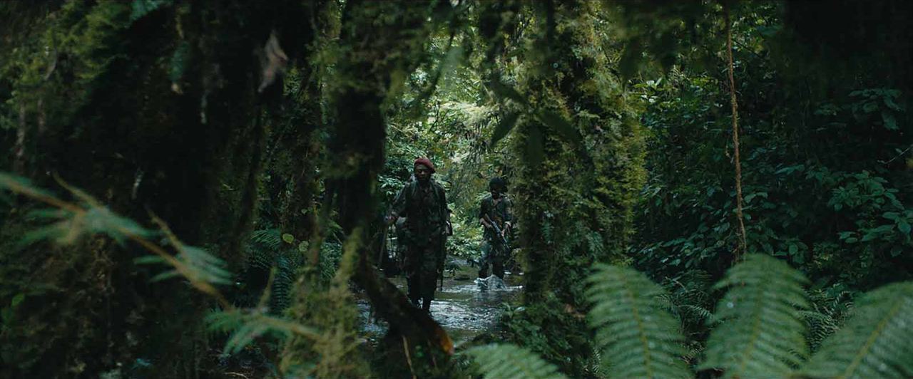 La Miséricorde de la Jungle : Photo Marc Zinga, Stéphane Bak