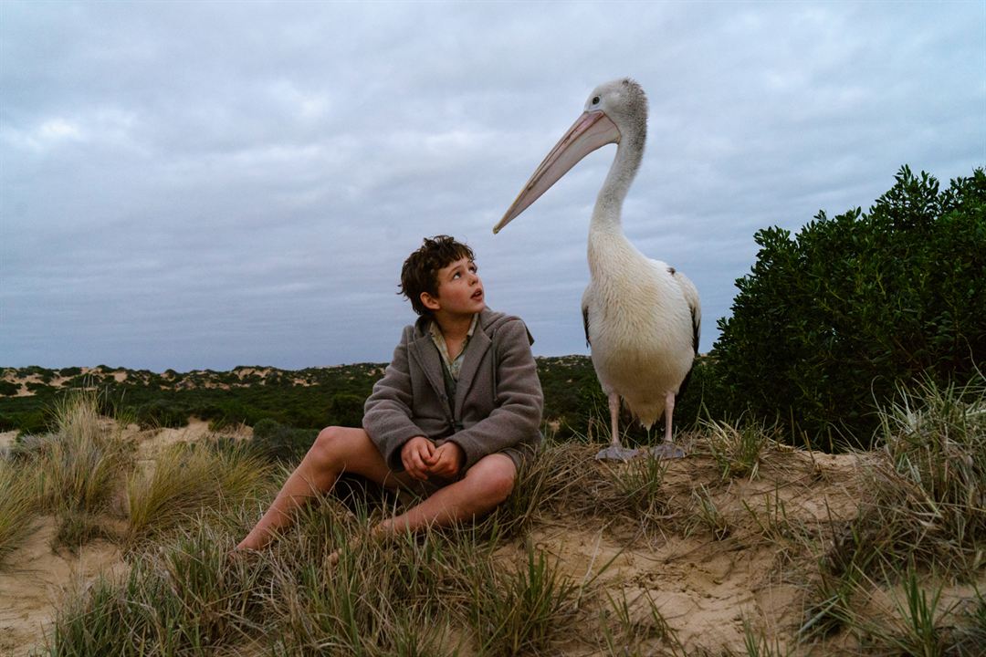 Storm Boy : Photo Finn Little