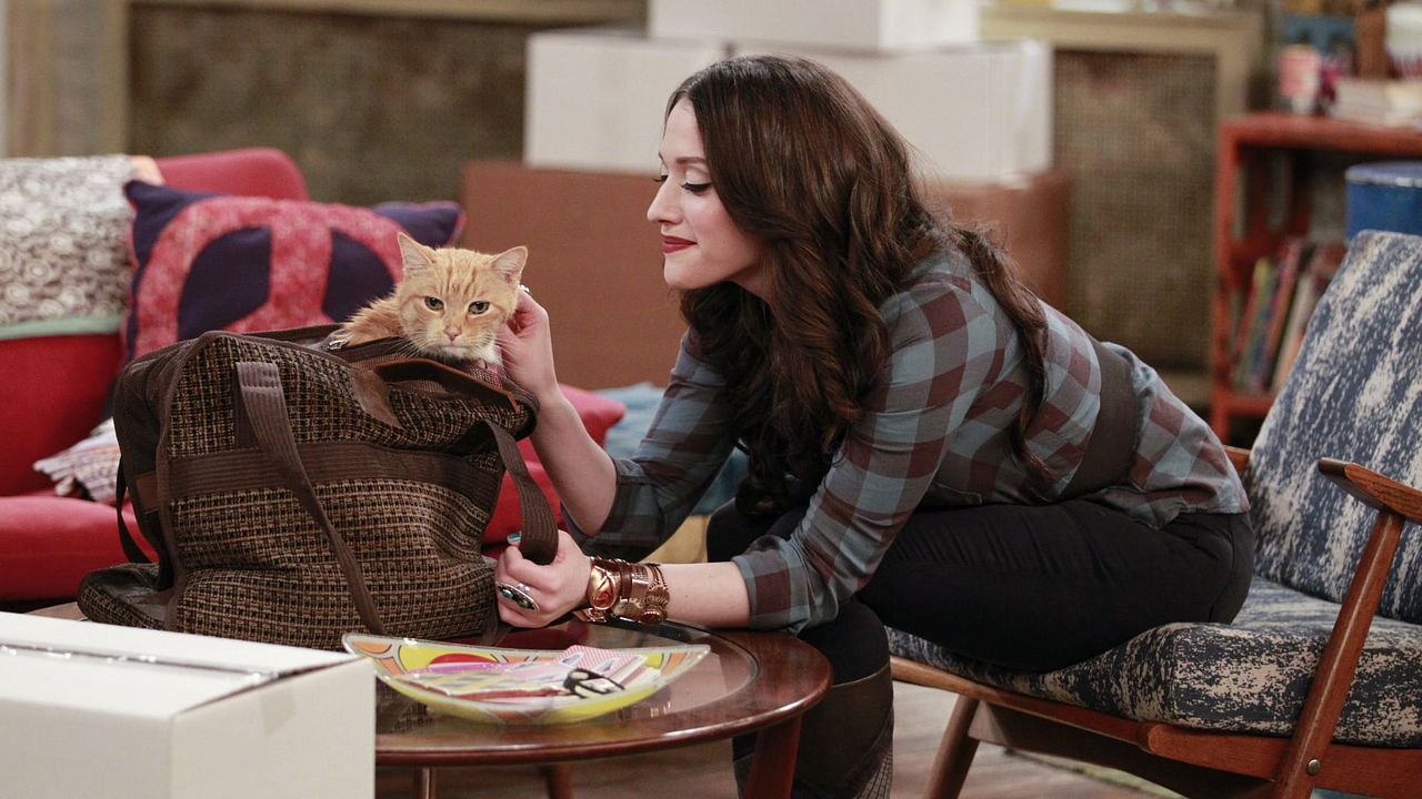 2 Broke Girls : Affiche